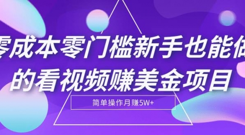 看视频1小时赚28美金零投入项目